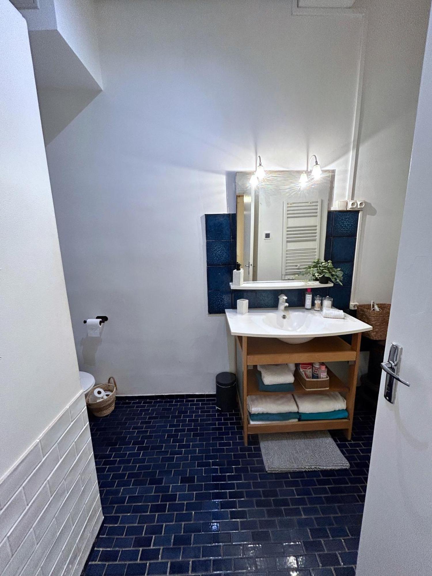 Le Patio Riquet Apartment Toulouse Luaran gambar